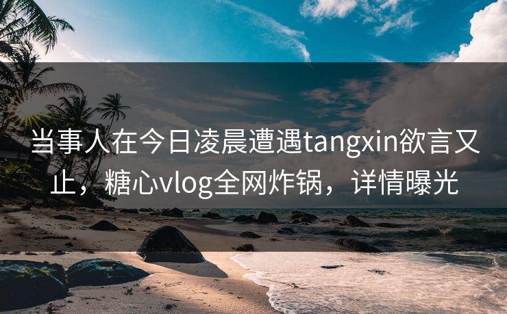 当事人在今日凌晨遭遇tangxin欲言又止,糖心vlog全网炸锅,详情曝光 当事人在今日凌晨遭遇tangxin欲言又止,糖心vlog全网炸锅,详情曝光