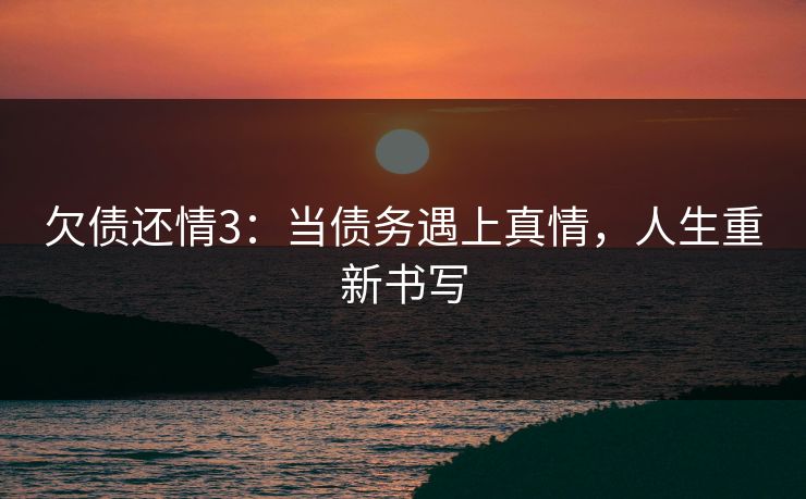 欠债还情3:当债务遇上真情,人生重新书写 欠债还情3:当债务遇上真情,人生重新书写